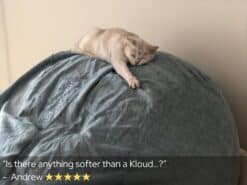 Cat on Kids KloudSac